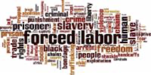 Forced Labor Risk