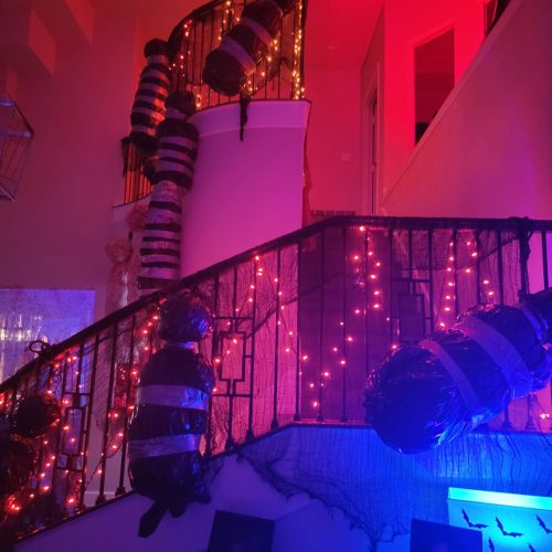 20231022_191123-min
